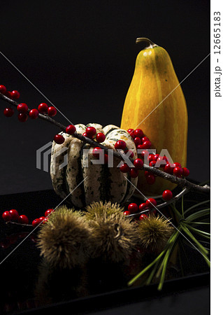 晩秋迎冬 12665183