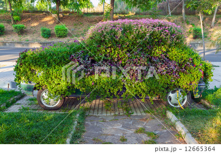 Conceptual flower decoration of small old car Conceptual flower decoration of small old car 12665364