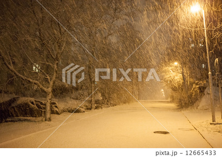 a lot of snowfall and empty walkway 12665433