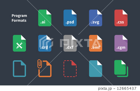 Set of Program File Formats and Labels icons. 12665437