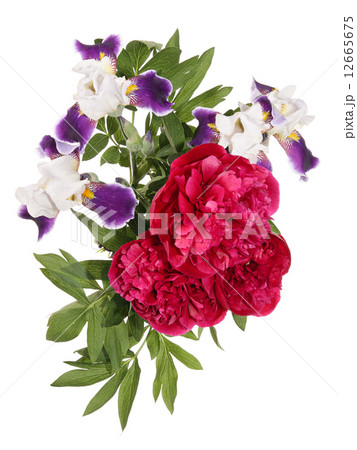 Peones and iris Peones and iris 12665675
