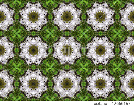 Ethnic pattern. Abstract kaleidoscope  fabric design. 12666168