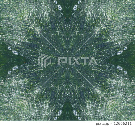 Ethnic pattern. Abstract kaleidoscope  fabric design. 12666211