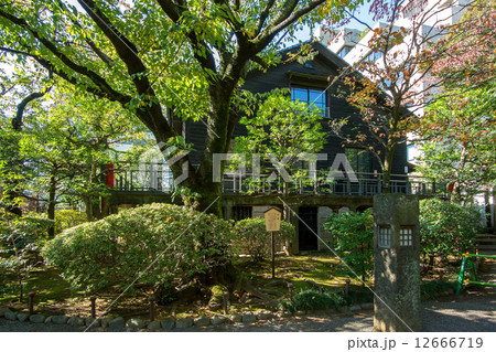 乃木神社 12666719