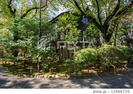 乃木神社 12666720