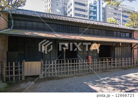 乃木神社 12666725