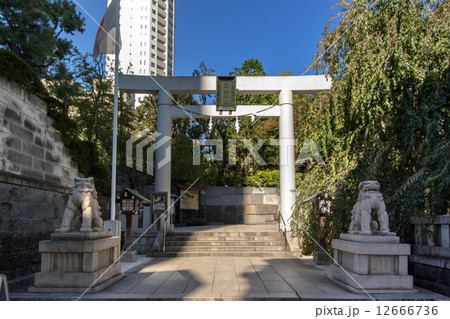 乃木神社 12666736