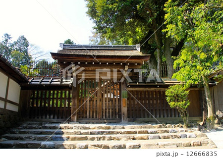 上賀茂神社 12666835