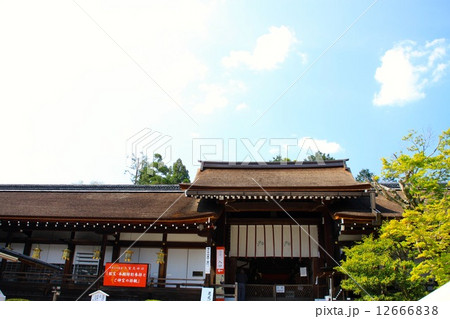 上賀茂神社 上賀茂神社 12666838