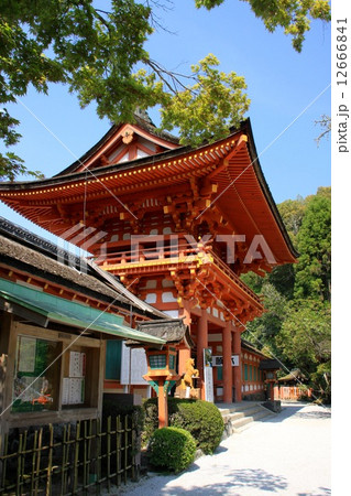 上賀茂神社 12666841