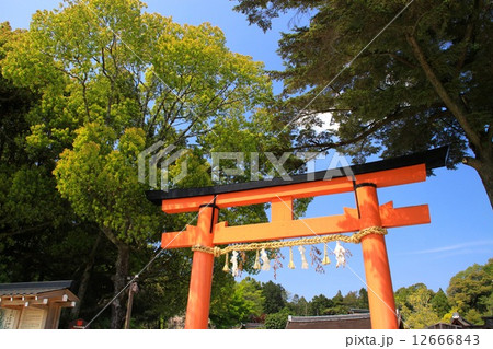 上賀茂神社 上賀茂神社 12666843