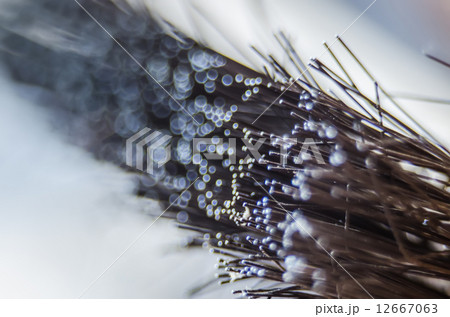 steel metal wire brush for cleaning metal steel metal wire brush for cleaning metal 12667063