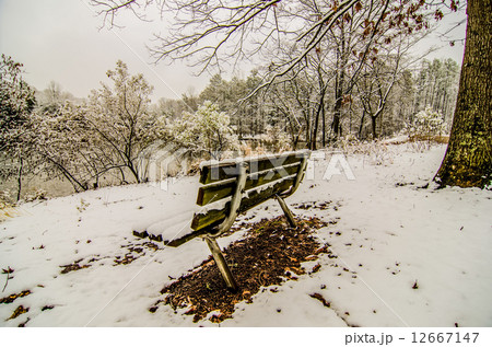 park bench in the snow covered park overlooking lake park bench in the snow covered park overlooking lake 12667147