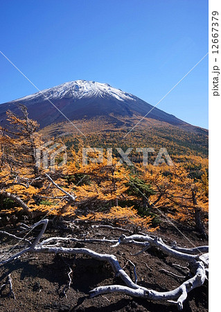 10月風景・富士山598富士スバルライン・奥庭の紅葉 12667379