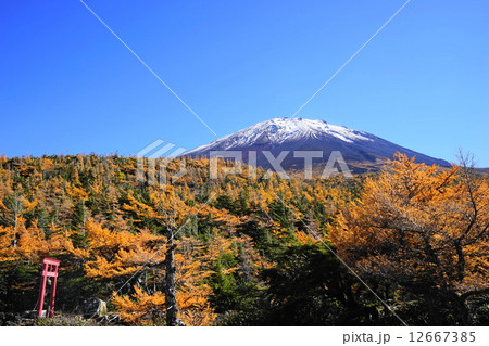 10月風景 富士山592富士スバルライン 奥庭の紅葉の写真素材
