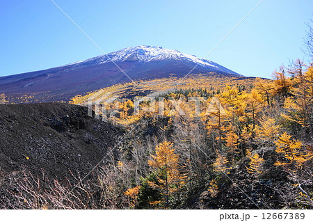 10月風景 富士山5富士スバルライン 森林限界の紅葉の写真素材