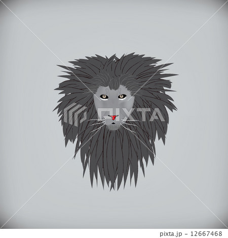 Gray lion Gray lion 12667468