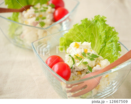 コーンときゅうりのポテトサラダ・白背景（横位置） 12667509