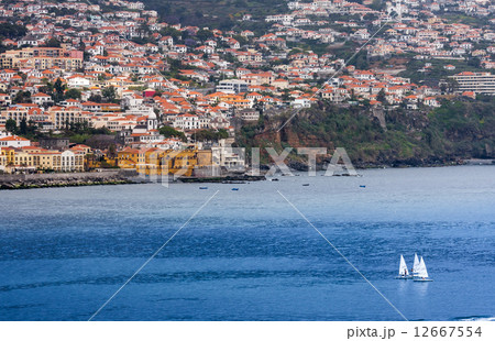 マデイラ島 マデイラ島 12667554