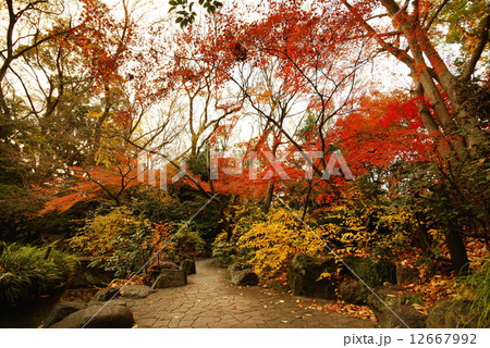 熱 田 神 宮 南神 池 ・ 庭 園 ( 愛知県 名古屋市 ) 熱 田 神 宮 南神 池 ・ 庭 園 ( 愛知県 名古屋市 ) 12667992