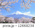 富士山と桜 12668238