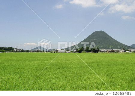 山 12668485