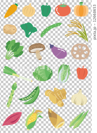 Vegetable icon 12668653