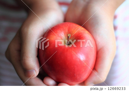 りんごを持ってる手 12669233