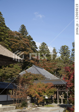 永源寺境内と空 12669619