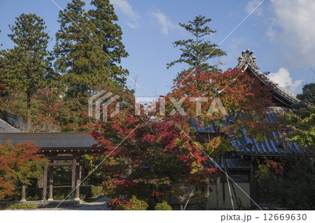 永源寺境内の紅葉 永源寺境内の紅葉 12669630