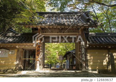 永源寺総門 12669637