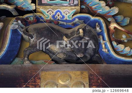 京都 北野天満宮 唯一の立ち牛 京都 北野天満宮 唯一の立ち牛 12669648