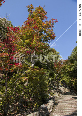永源寺羅漢坂の紅葉 永源寺羅漢坂の紅葉 12669700