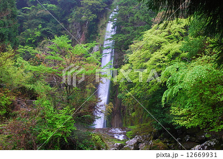 宝龍滝（和歌山県新宮市） 12669931