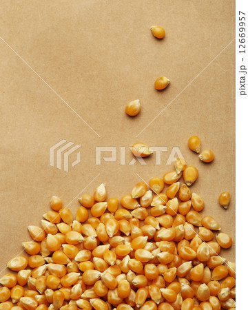 Corn kernels arranged as the background Corn kernels arranged as the background 12669957