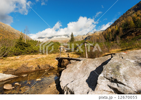 Wooden Bridge - Adamello Trento Italy 12670055