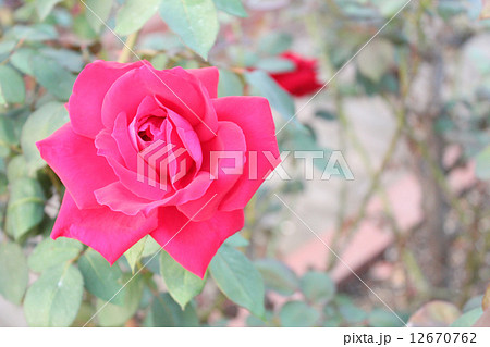 クリスチャンディオール クリスチャンディオール 12670762