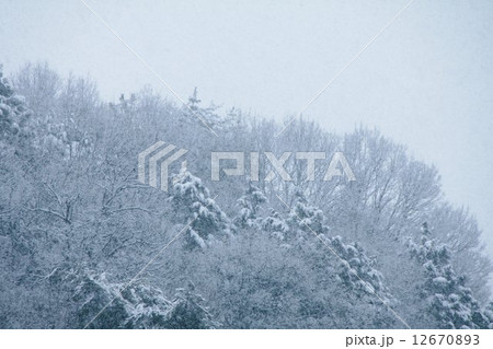 雪山の稜線 12670893