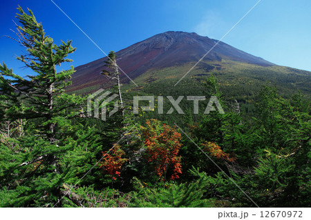 五合目からの富士山 五合目からの富士山 12670972