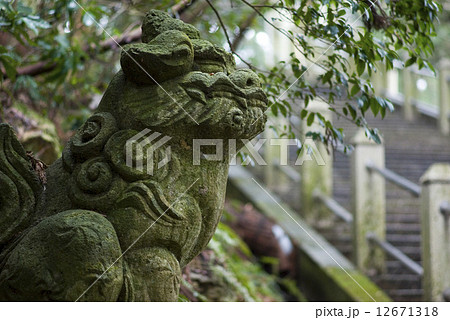 苔むす狛犬　白山比咩神社 12671318