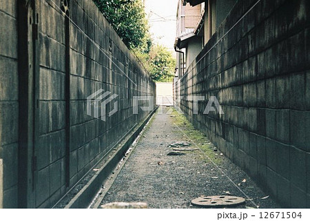 路地 12671504