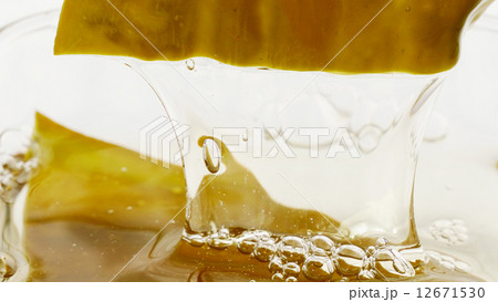 ガゴメ昆布 ガゴメ昆布 12671530