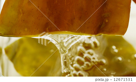 ガゴメ昆布　断面 12671531