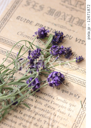 ラベンダー 12671872