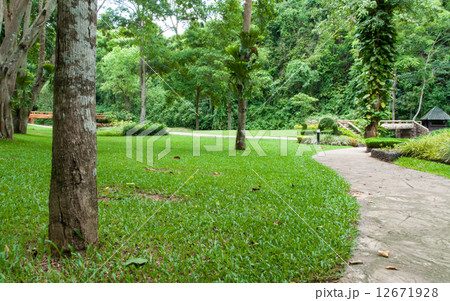 Phu Sang National Park. Phu Sang National Park. 12671928