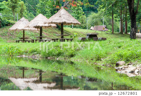 Natural  pond in garden. 12672801