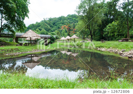 Natural  pond in garden. 12672806