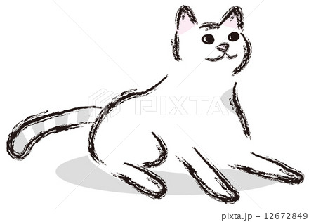 猫　白い猫 12672849