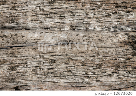 Wood Background Wood Background 12673020