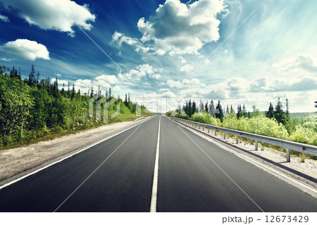road in north forest road in north forest 12673429